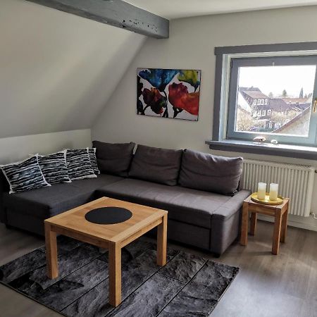 Schoene Ferienwohnung Fuer 6 Personen Erwartet Sie Im Oberharz 상트안드레스베르크 외부 사진