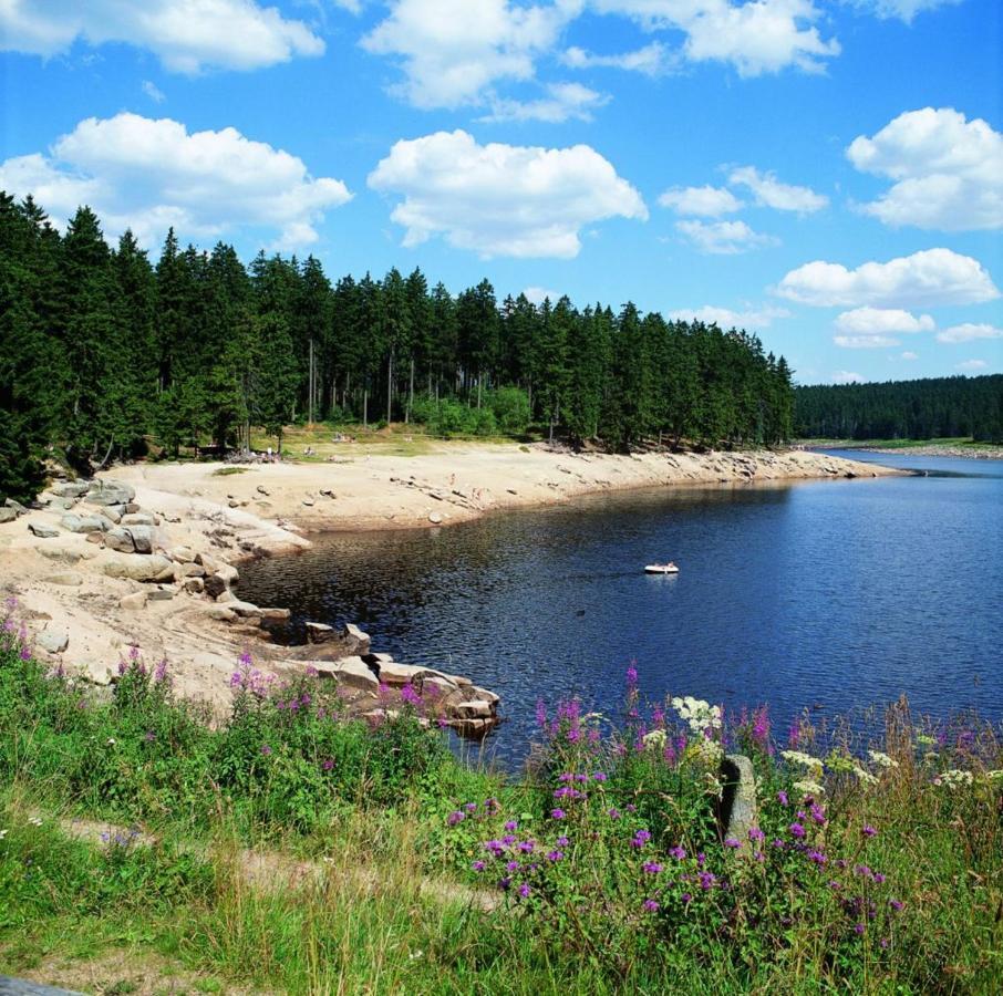 Schoene Ferienwohnung Fuer 6 Personen Erwartet Sie Im Oberharz 상트안드레스베르크 외부 사진